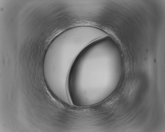 X0000054440433200507290930