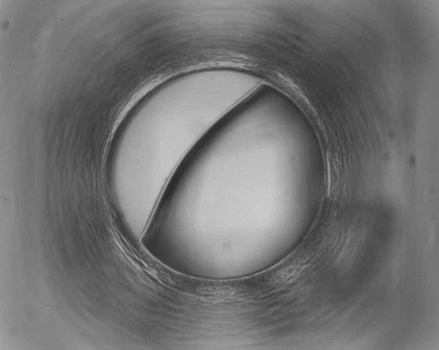 X0000054440435200507290930