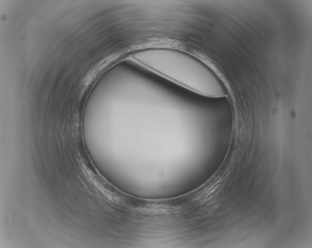 X0000054440437200507290930