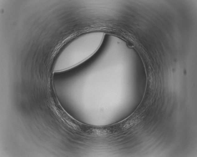 X0000054440442200507290930
