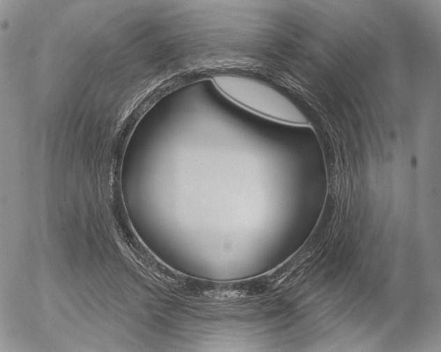 X0000054440448200507290930
