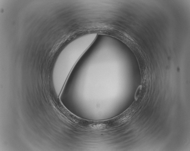 X0000054440452200507290930