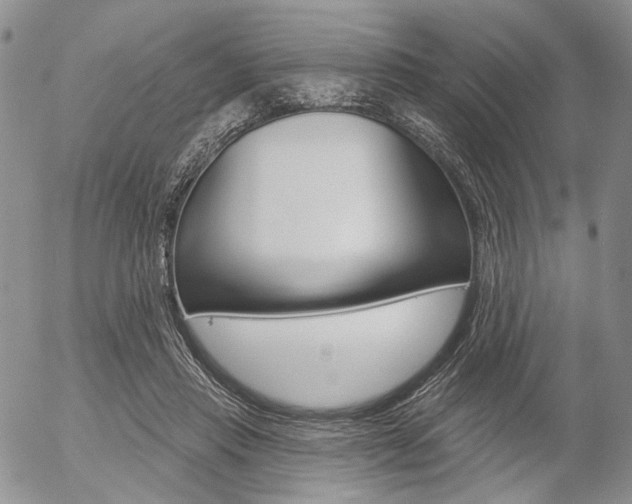 X0000054440453200507290930