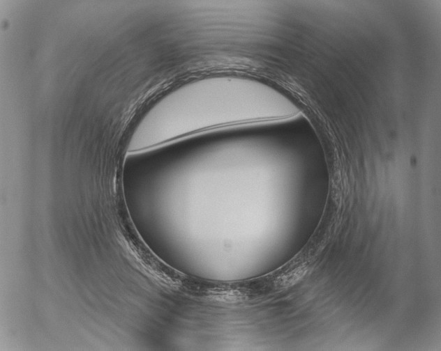 X0000054440454200507290930