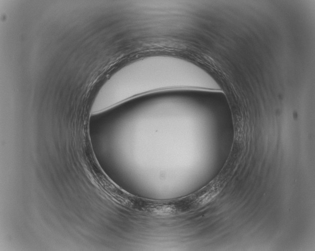 X0000054440456200507290930