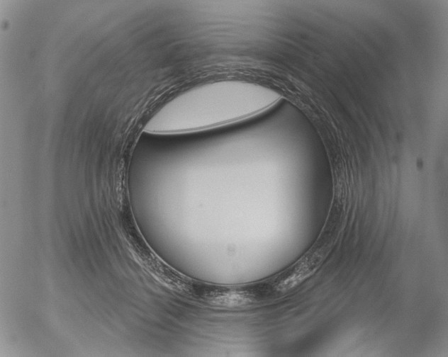 X0000054440460200507290930
