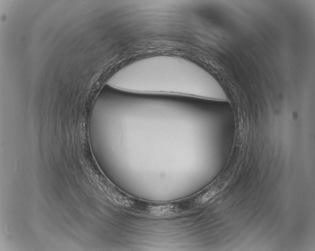 X0000054440461200507290930