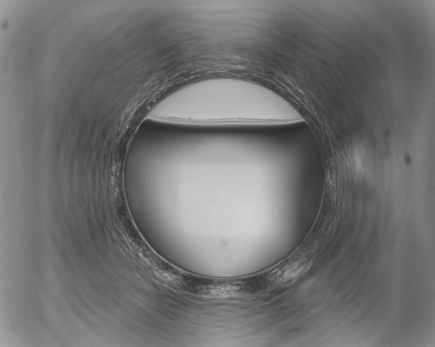X0000054440462200507290930