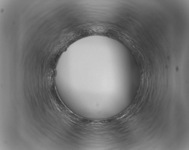 X0000054440464200507290930