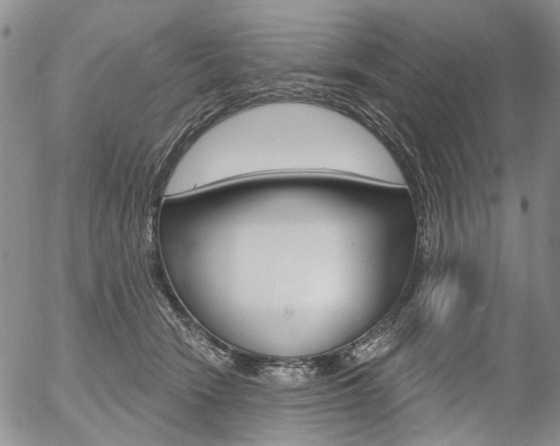 X0000054440466200507290930