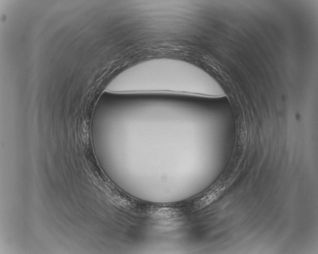 X0000054440467200507290930