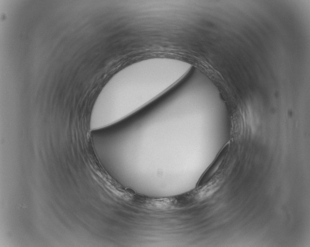 X0000054440479200507290931