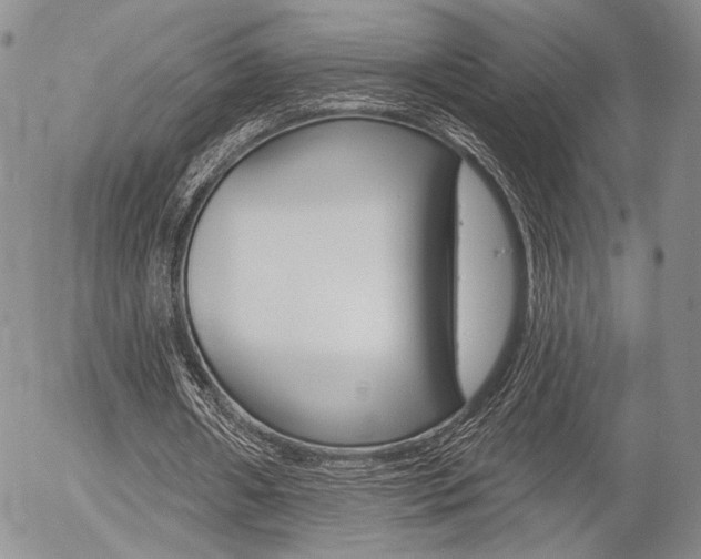 X0000054440482200507290930