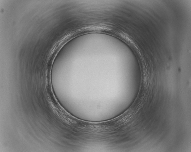 X0000054440486200507290930