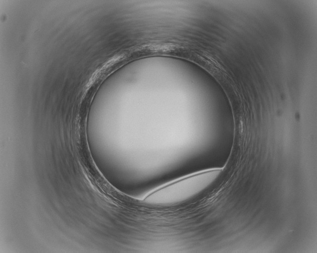 X0000054440492200507290930