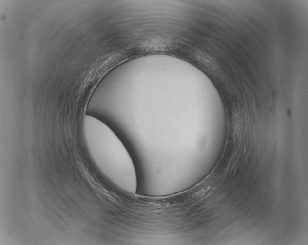 X0000054440494200507290930