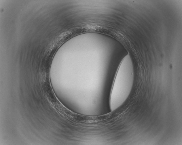 X0000054440496200507290930