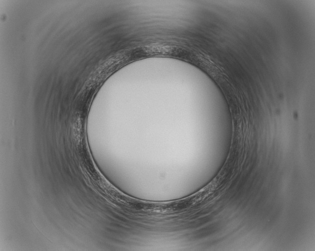 X0000054440498200507290930