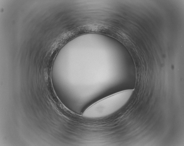 X0000054440500200507290930