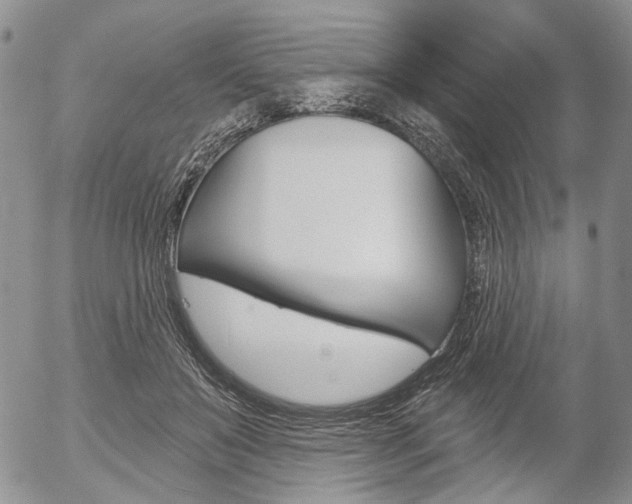 X0000054440503200507290930