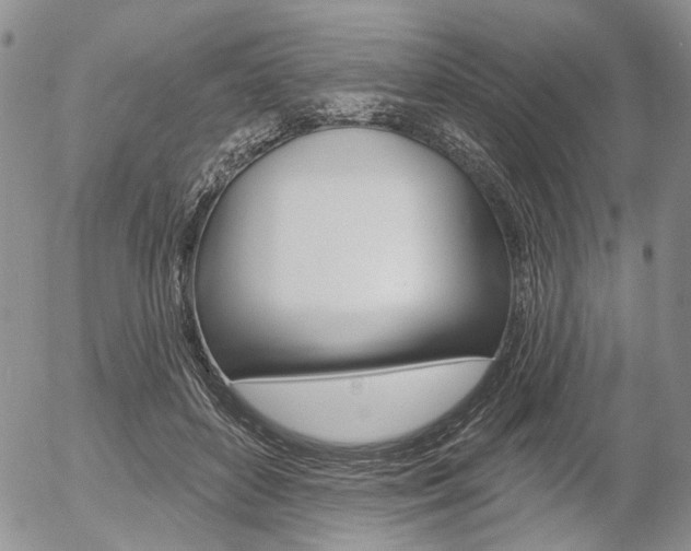 X0000054440504200507290930