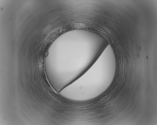 X0000054440507200507290929