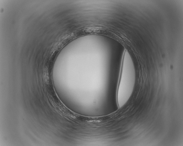 X0000054440508200507290929
