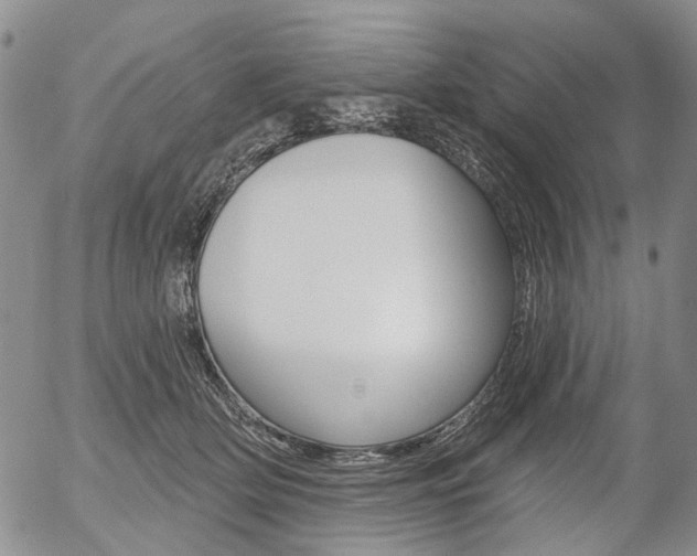 X0000054440514200507290929