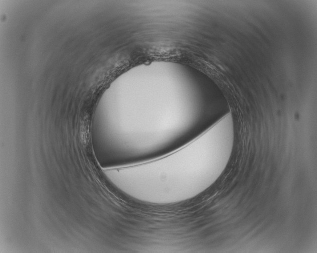 X0000054440515200507290929