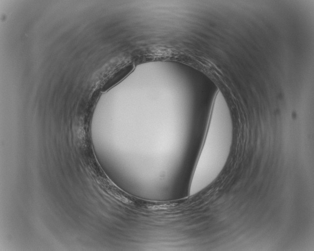 X0000054440516200507290929