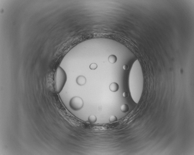 X0000054440519200507290929