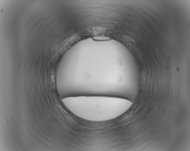 X0000054440527200507290929