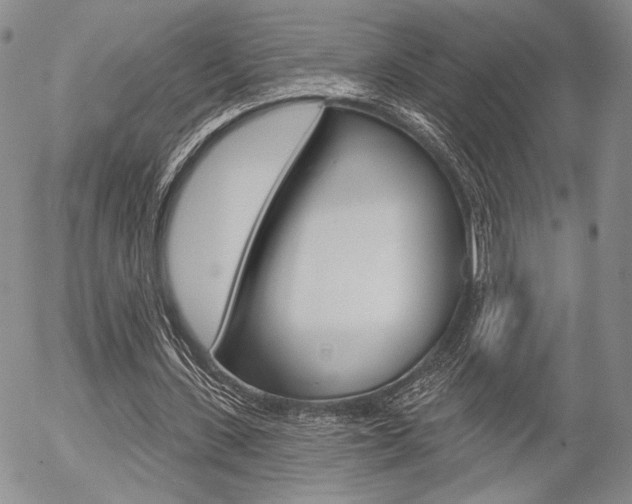 X0000054440531200507290928