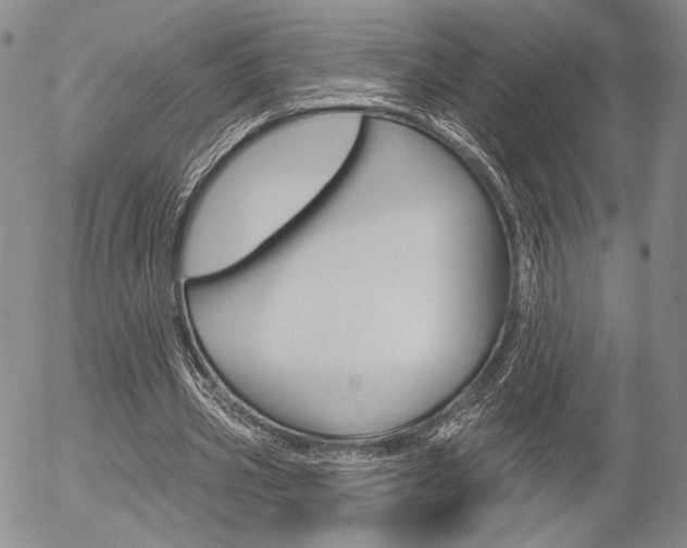 X0000054440533200507290928