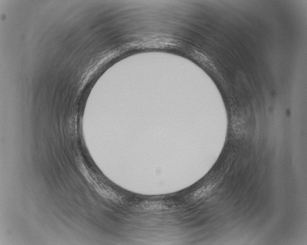 X0000054440534200507290928