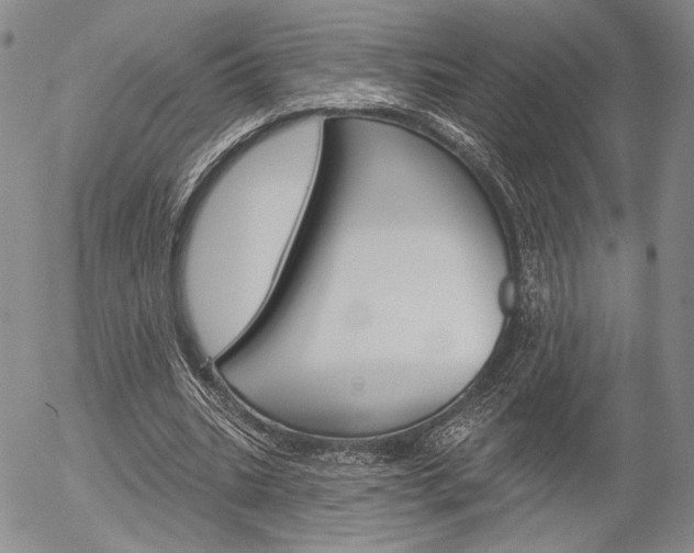 X0000054440535200507290928