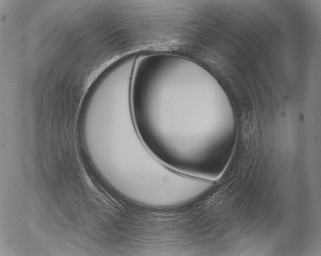 X0000054440536200507290928