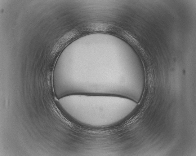 X0000054440537200507290928