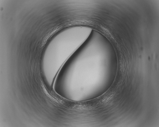 X0000054440538200507290929