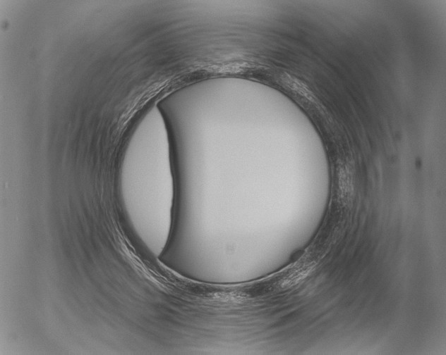 X0000054440541200507290929