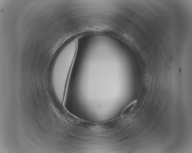 X0000054440544200507290929