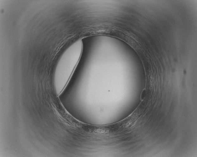 X0000054440546200507290929