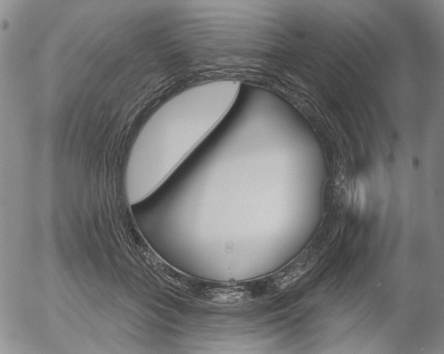 X0000054440555200507290929