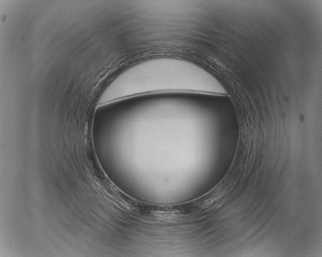 X0000054440556200507290929