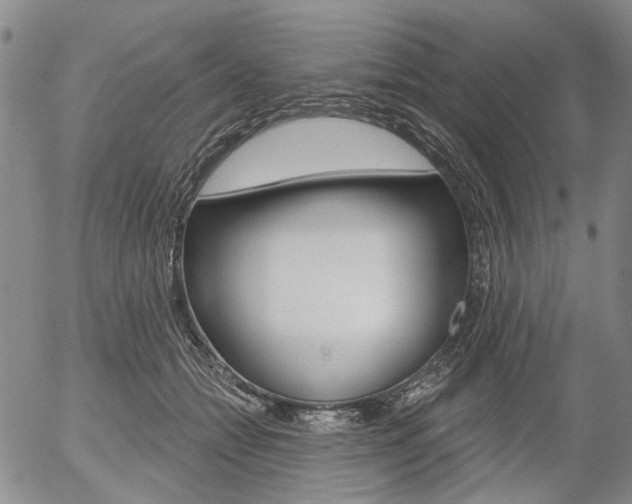 X0000054440558200507290929