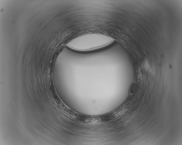 X0000054440559200507290929