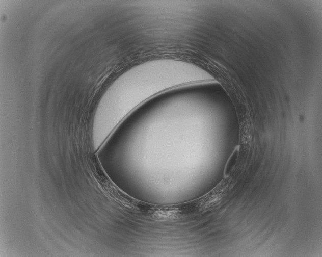 X0000054440560200507290929