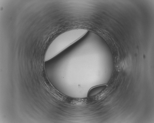X0000054440563200507290929