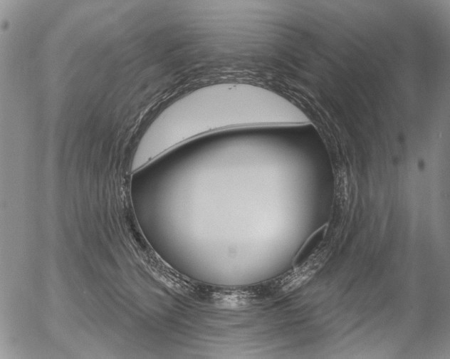 X0000054440564200507290929