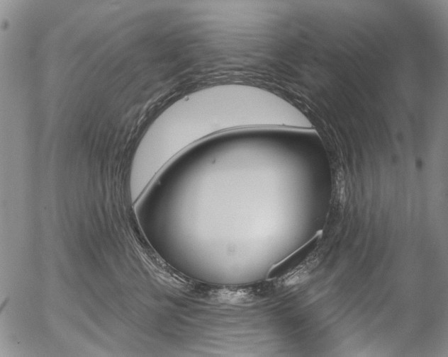 X0000054440570200507290929
